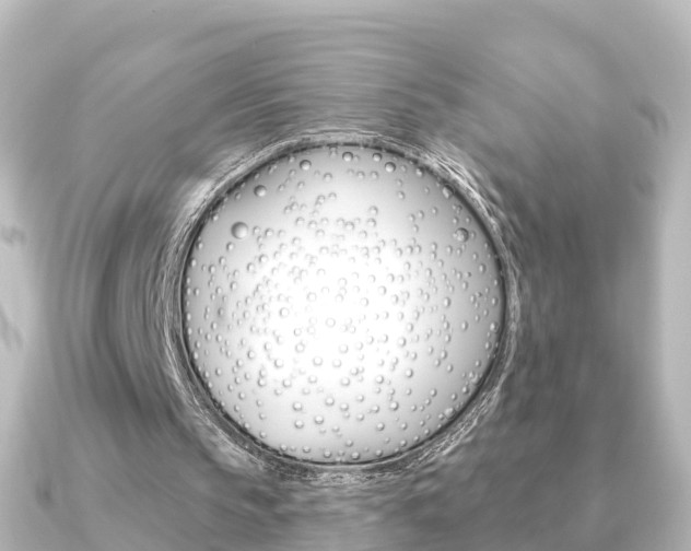 X0000091230145200708091119