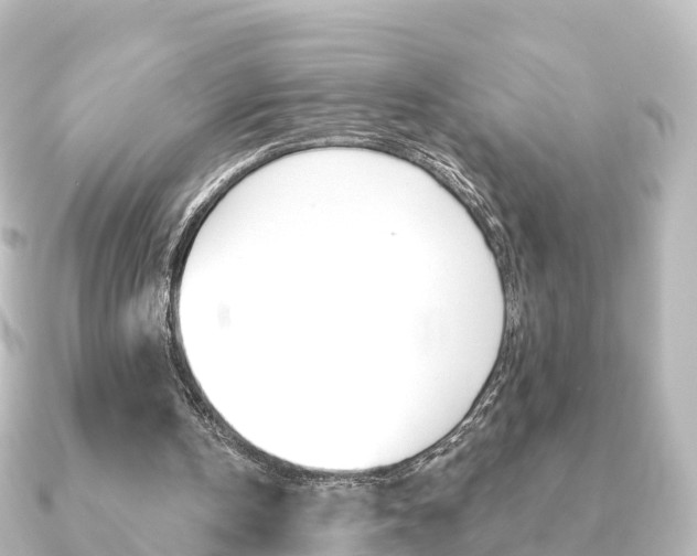 X0000091230146200708091119