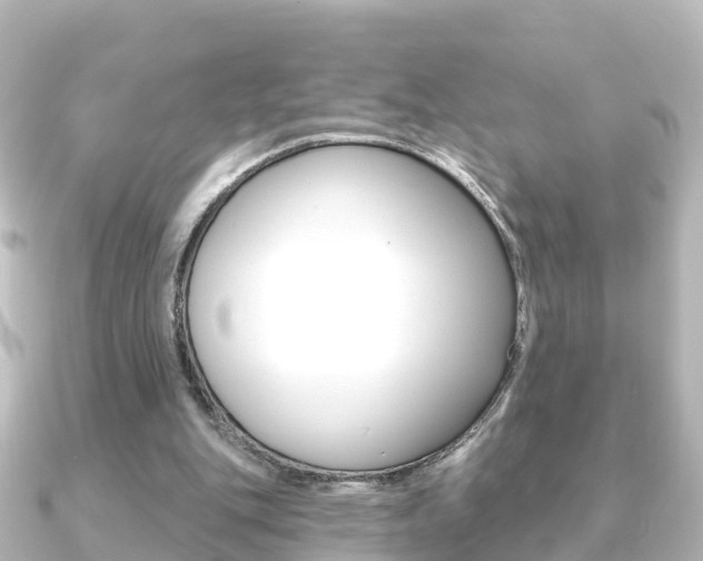 X0000091230151200708091119