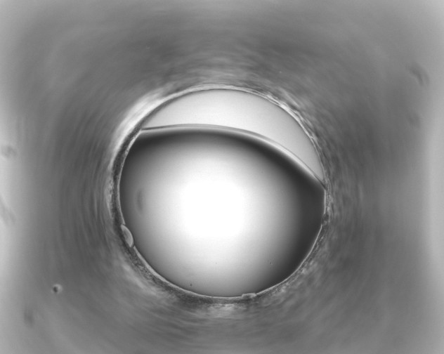 X0000091230152200708091119