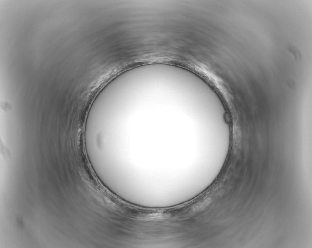 X0000091230153200708091119