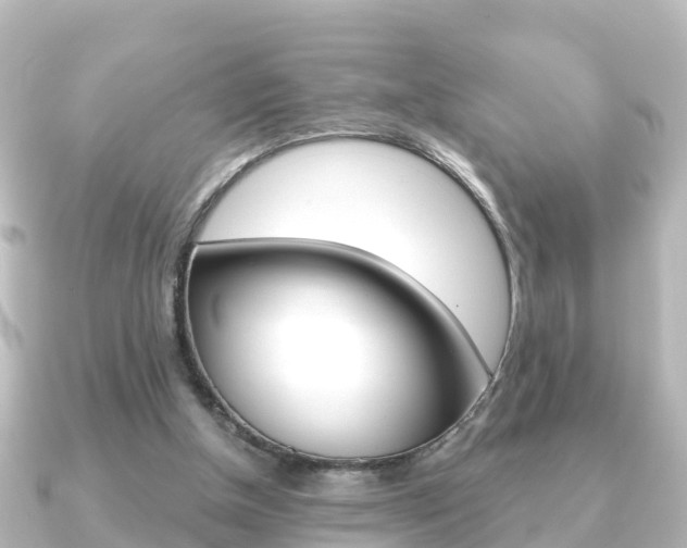 X0000091230154200708091119