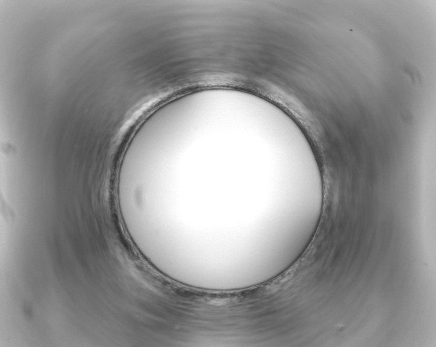X0000091230155200708091119