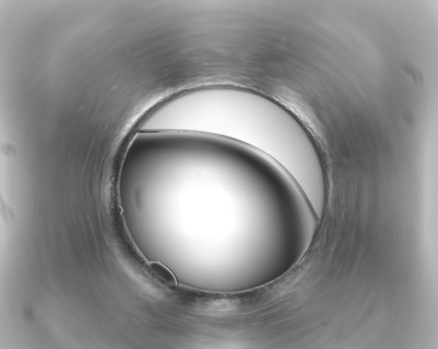 X0000091230156200708091119