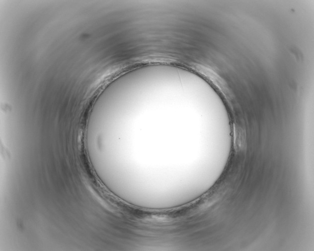 X0000091230157200708091119