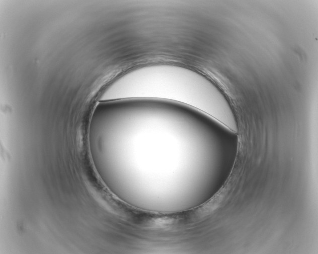 X0000091230158200708091119