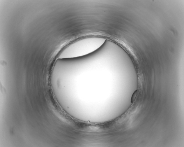 X0000091230159200708091119