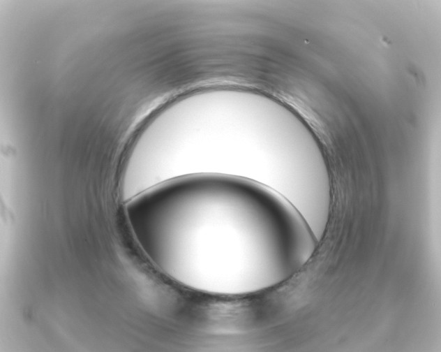X0000091230160200708091119