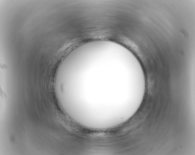 X0000091230161200708091119