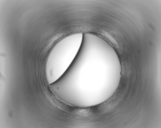 X0000091230163200708091119