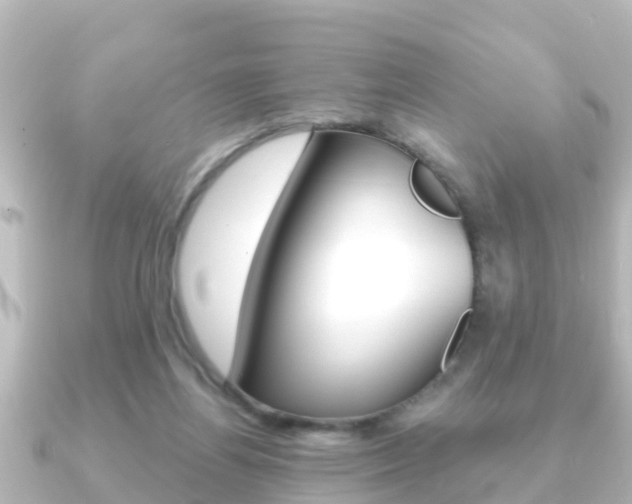X0000091230164200708091119