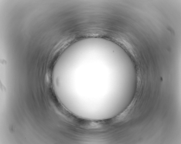 X0000091230166200708091119