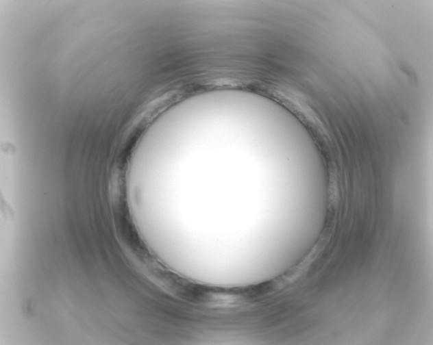 X0000091230167200708091119