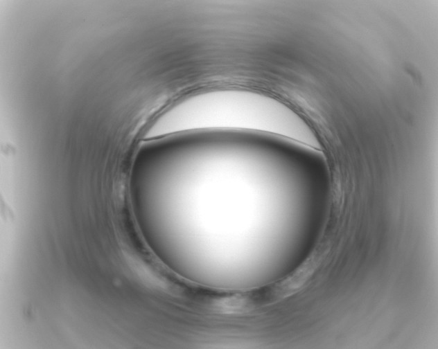 X0000091230168200708091119