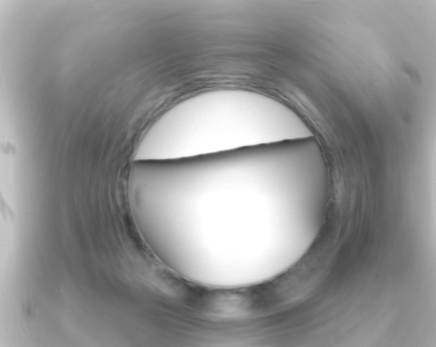 X0000091230169200708091119