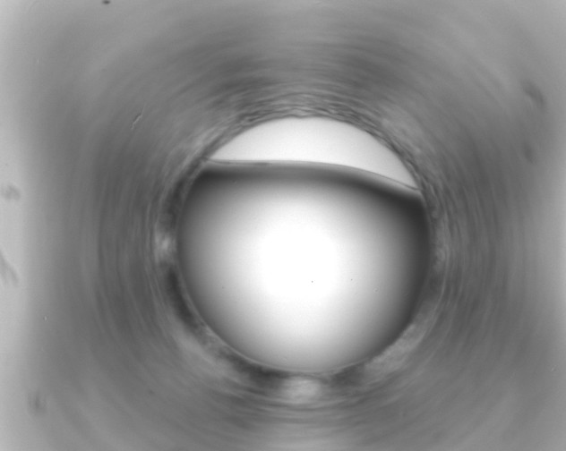 X0000091230176200708091120