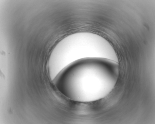 X0000091230180200708091120