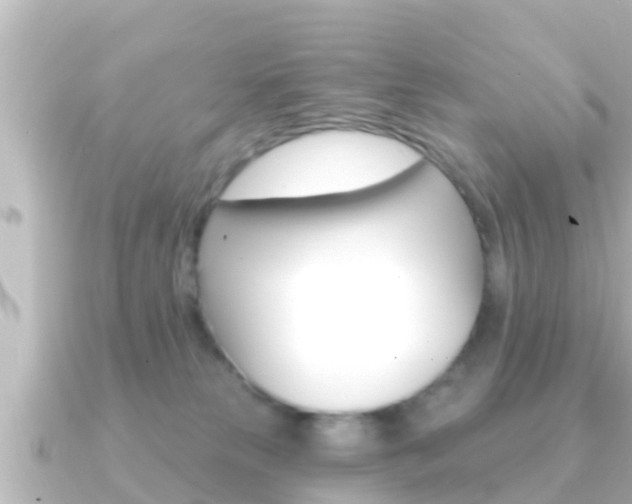 X0000091230181200708091120