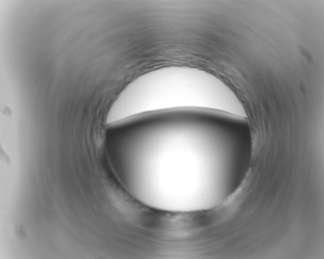 X0000091230186200708091120