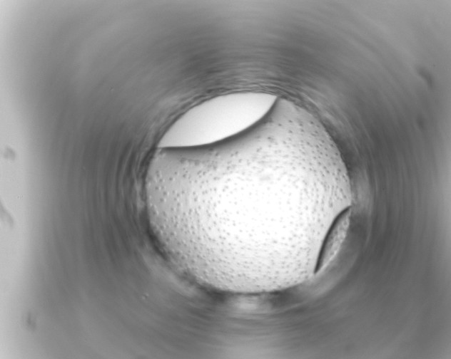 X0000091230187200708091120