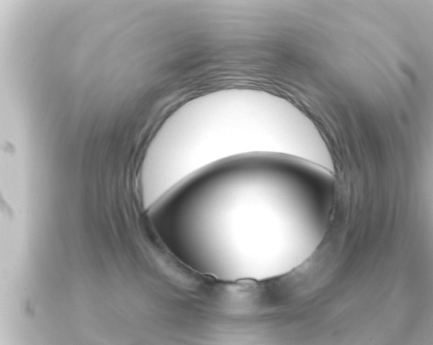 X0000091230188200708091120
