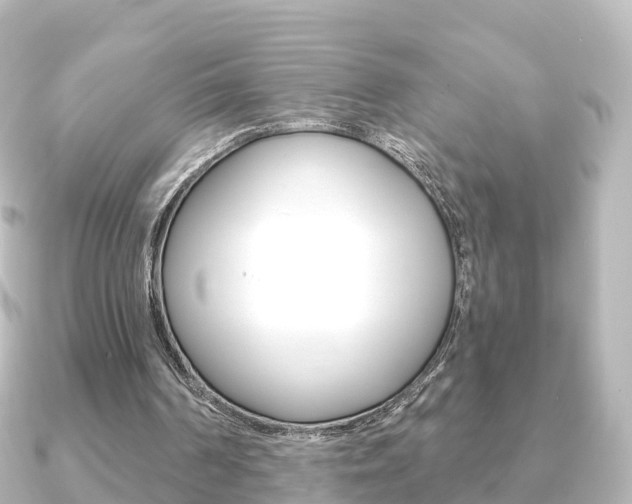 X0000091230194200708091119