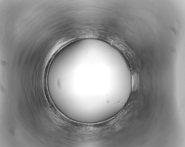 X0000091230195200708091119