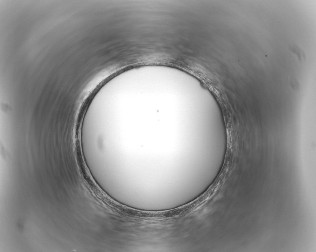 X0000091230196200708091119