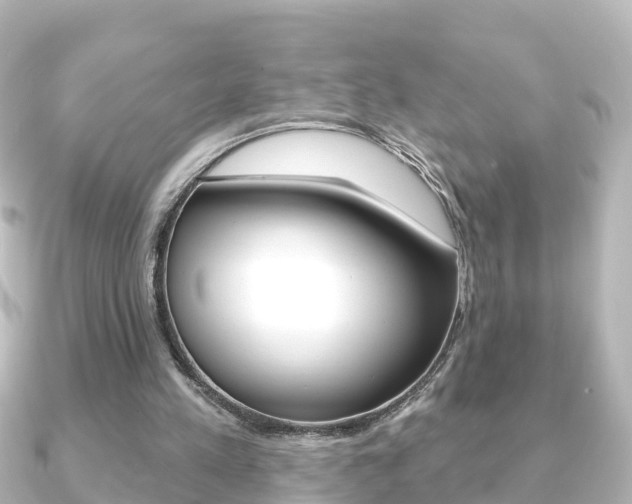 X0000091230197200708091119