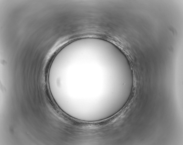 X0000091230198200708091119