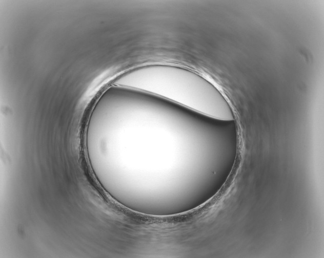 X0000091230199200708091119