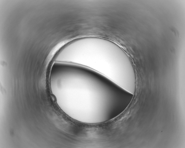 X0000091230200200708091119