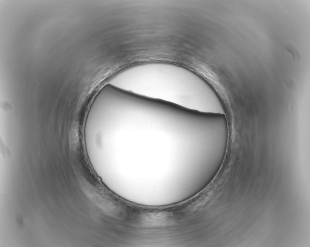 X0000091230202200708091119