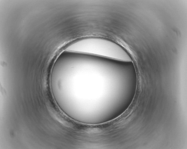 X0000091230203200708091119