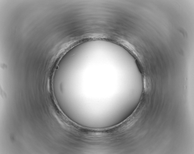 X0000091230205200708091119