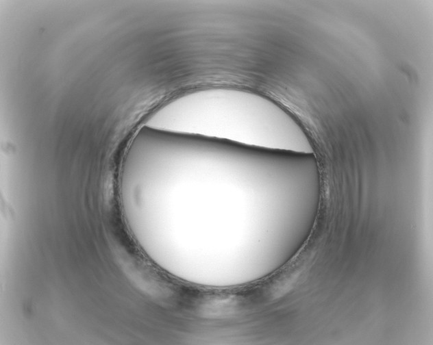 X0000091230206200708091119