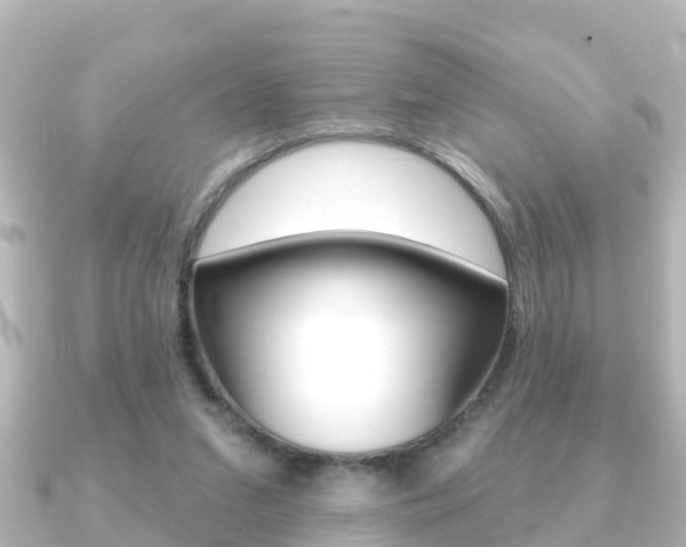 X0000091230207200708091119
