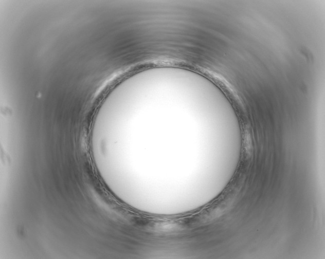 X0000091230208200708091119