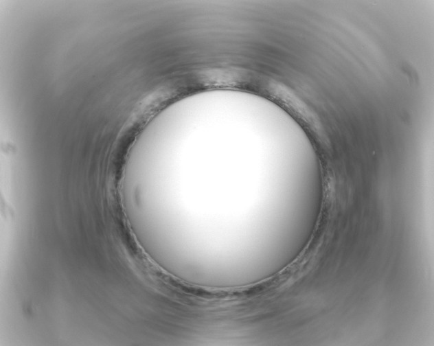 X0000091230209200708091119
