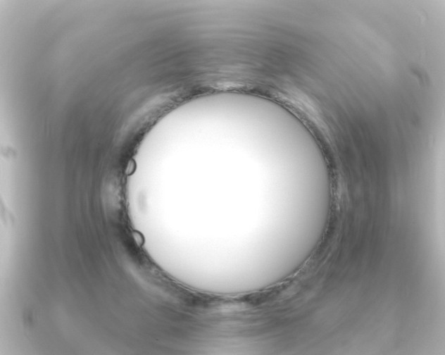 X0000091230210200708091119