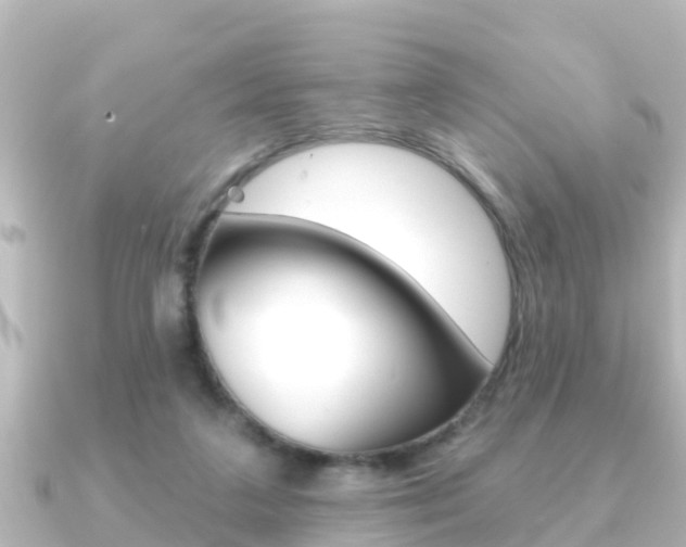 X0000091230211200708091119
