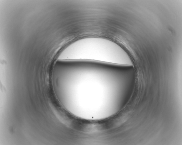X0000091230212200708091119