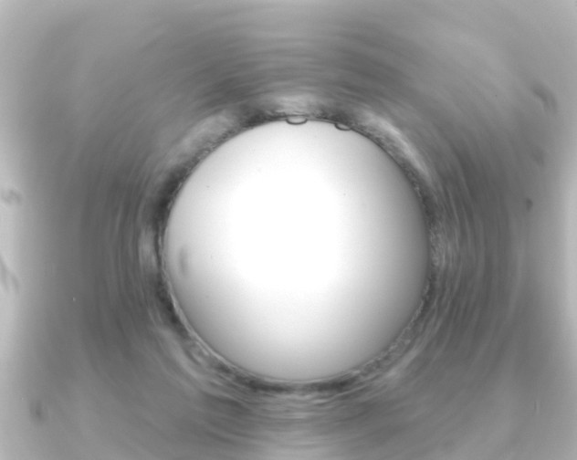 X0000091230213200708091119