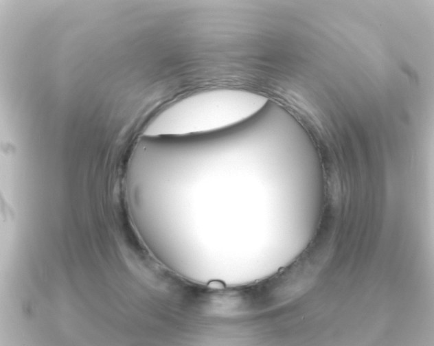 X0000091230214200708091119