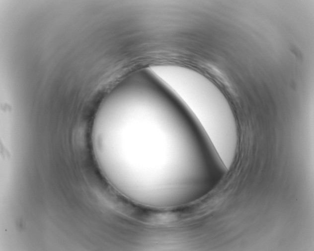 X0000091230217200708091119