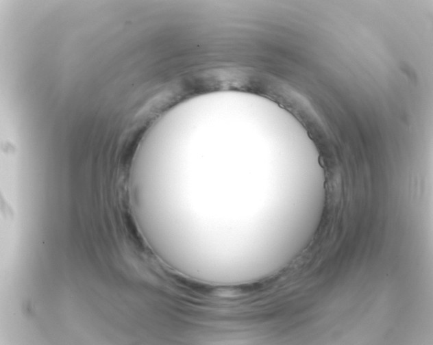X0000091230218200708091119
