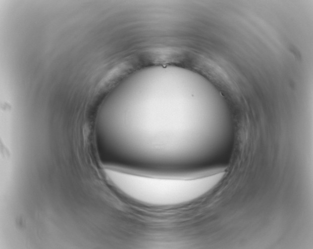 X0000091230219200708091119