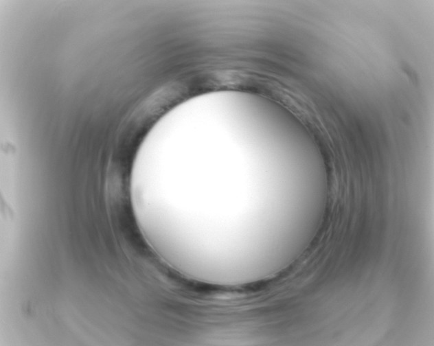 X0000091230220200708091119