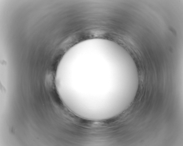 X0000091230222200708091119
