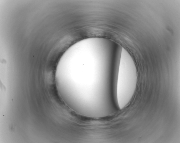 X0000091230224200708091119